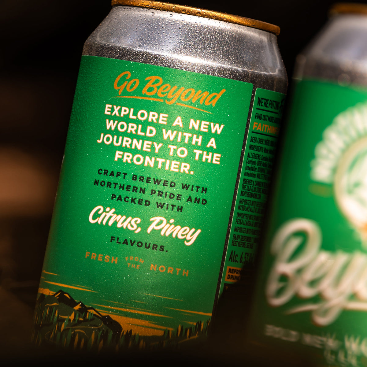 Close-up of a 440ml Beyond IPA can showcasing its citrus and piney flavours, inspired by American craft brewing.