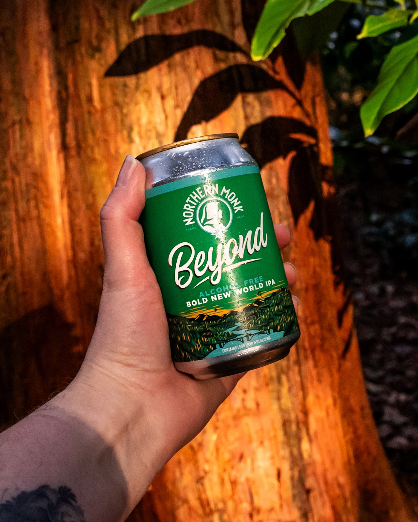 BEYOND ALCOHOL FREE // ALCOHOL-FREE NEW WORLD IPA // 0.3%