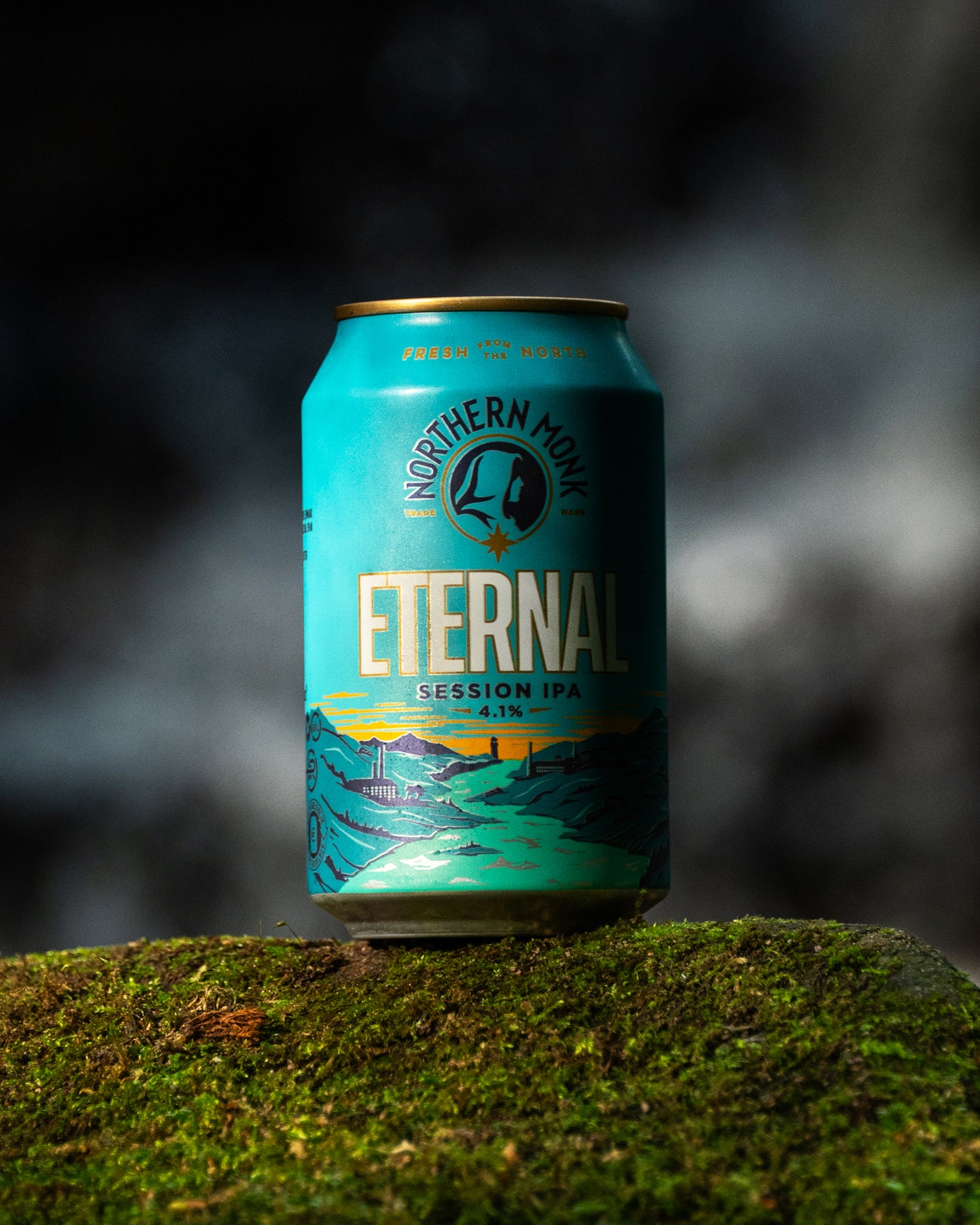 4 PACK // ETERNAL™ // SESSION IPA // 4.1%