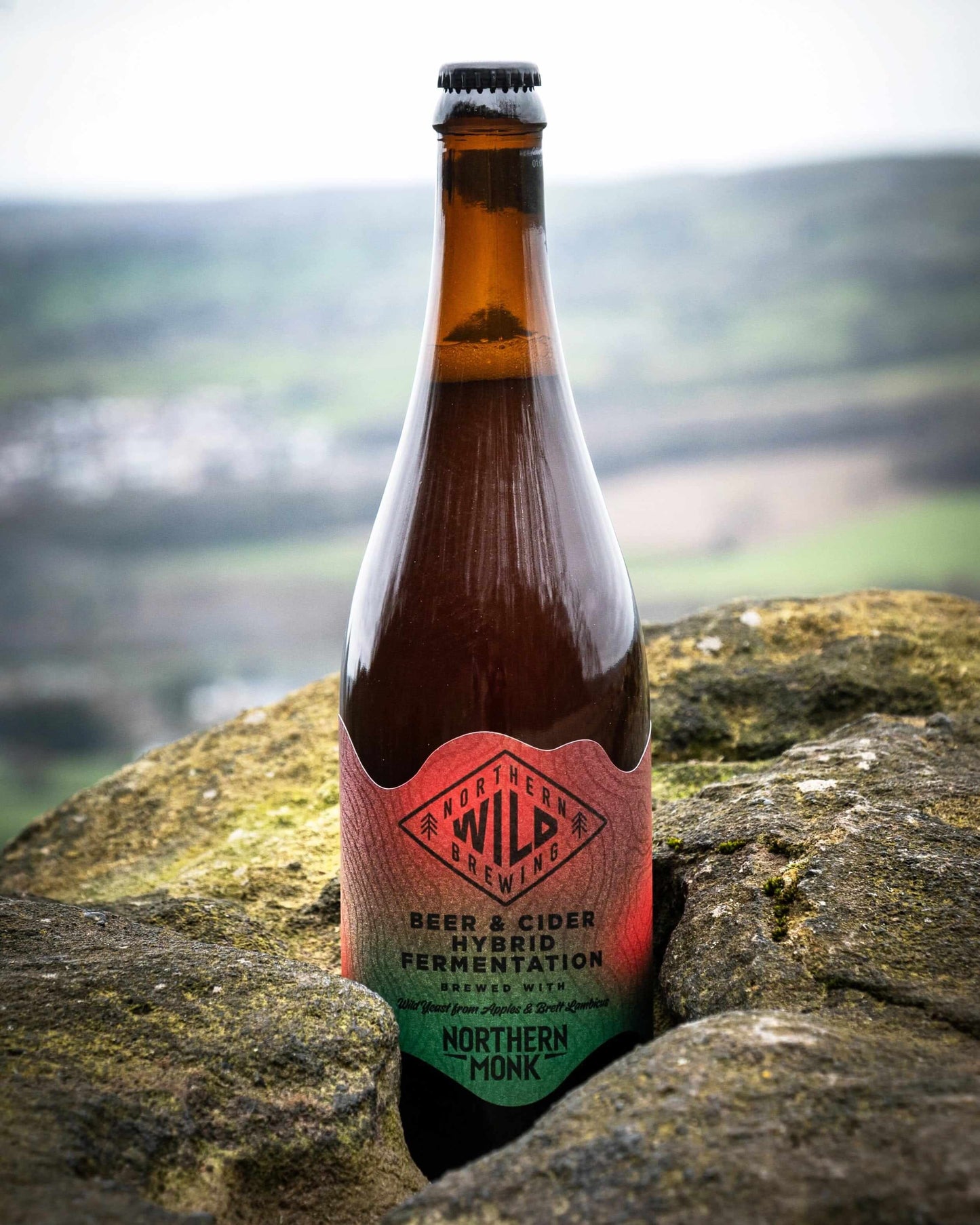 NORTHERN WILD 006 // HOGANS CIDER // 4.6%