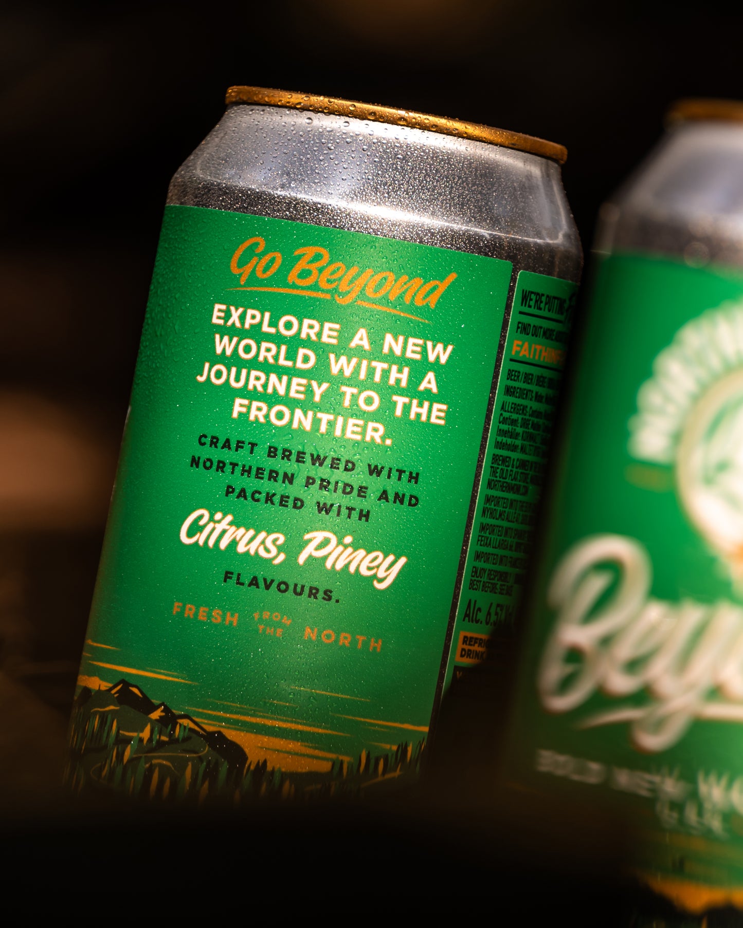440ml BEYOND // BOLD NEW WORLD IPA // 6.5%