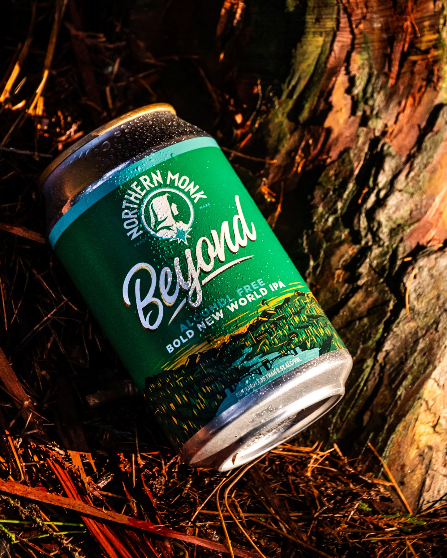 BEYOND ALCOHOL FREE // ALCOHOL-FREE NEW WORLD IPA // 0.3%