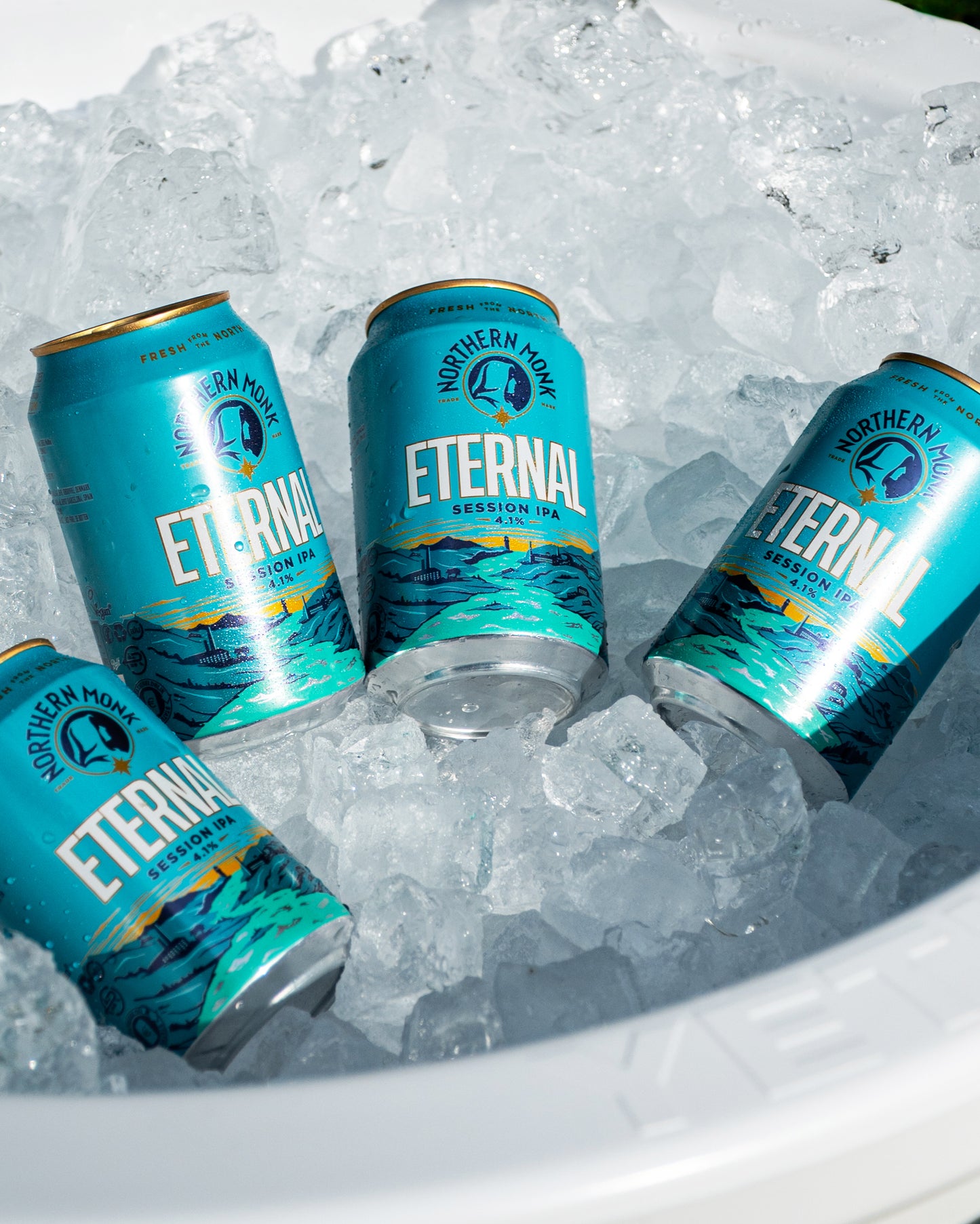4 PACK // ETERNAL™ // SESSION IPA // 4.1%