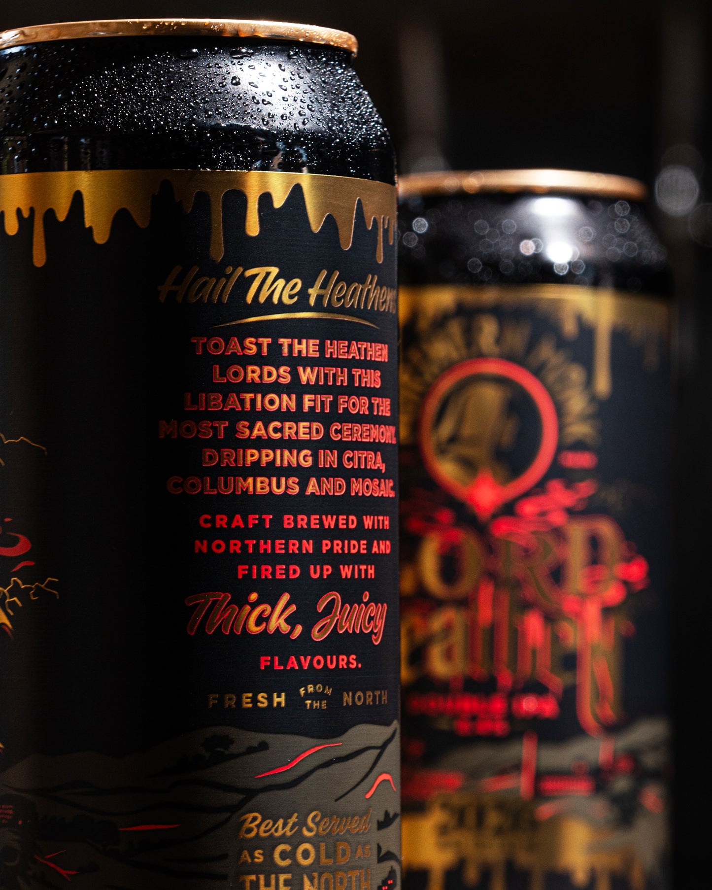 4 PACK // LORD HEATHEN 2026 // DIPA // 8.4%