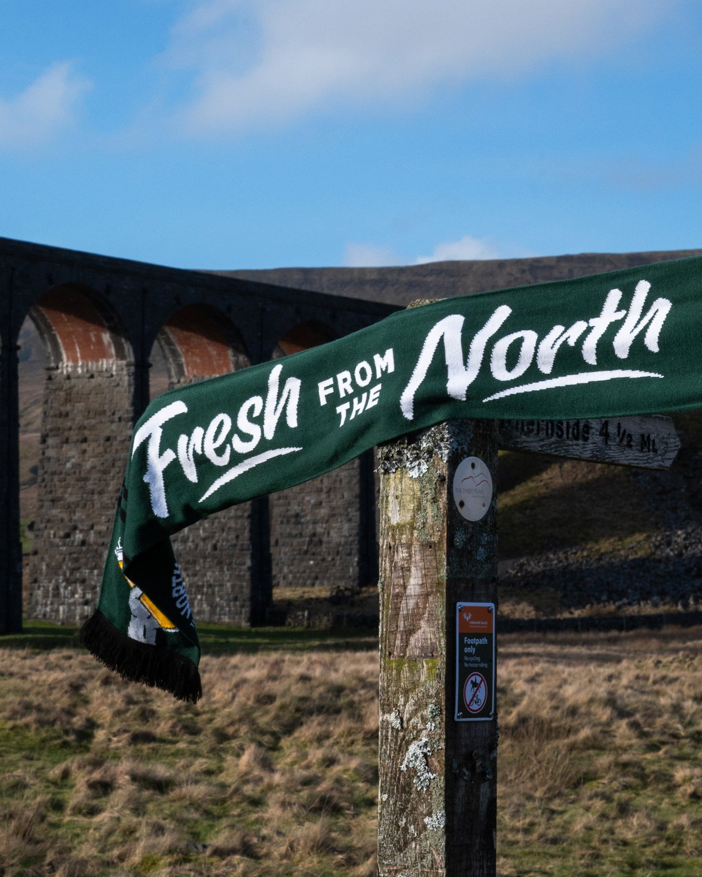 SCARF // FRESH FROM THE NORTH