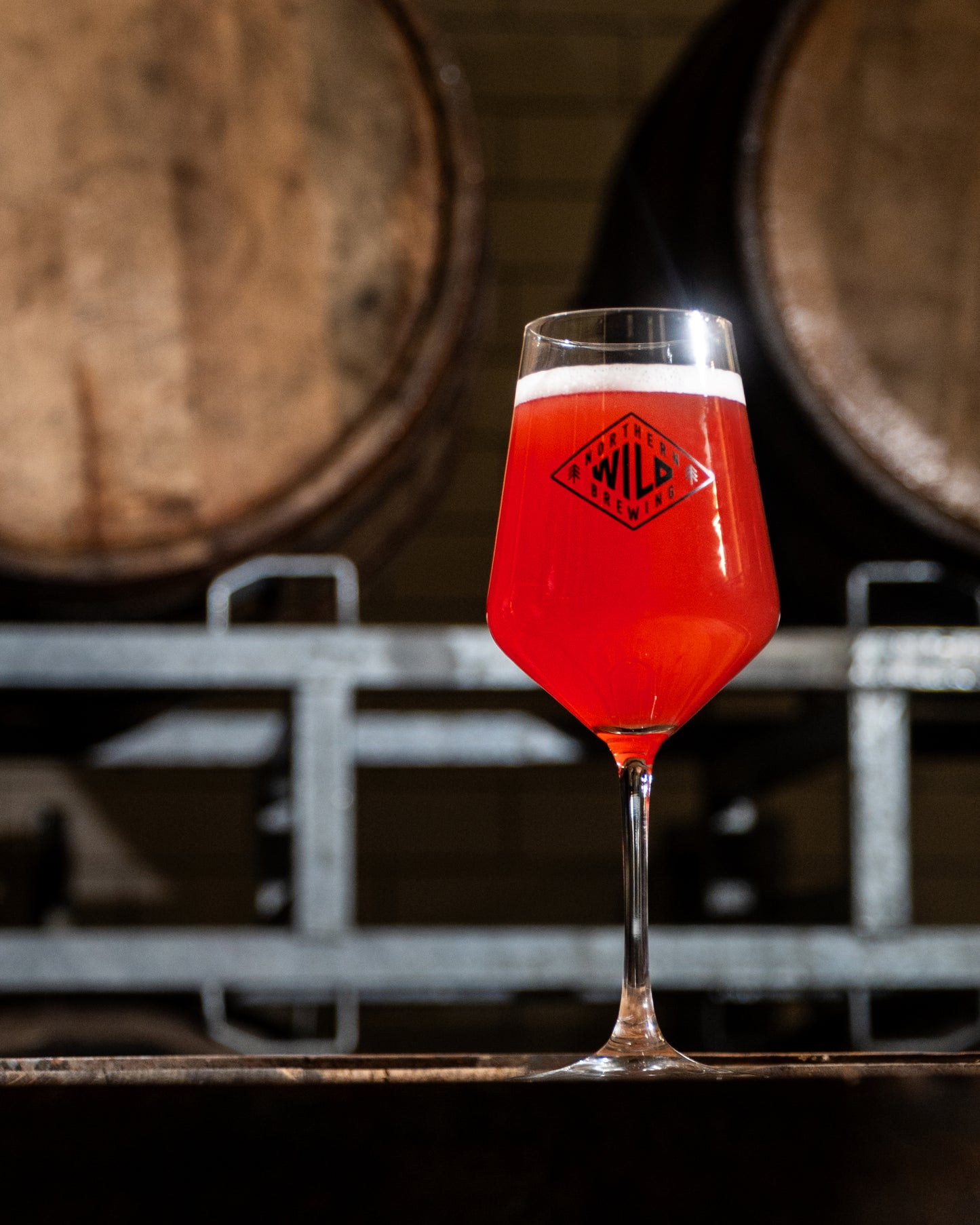 NORTHERN WILD 007 // BRANDY BARREL-AGED FRUITED SAISON // 6.6%