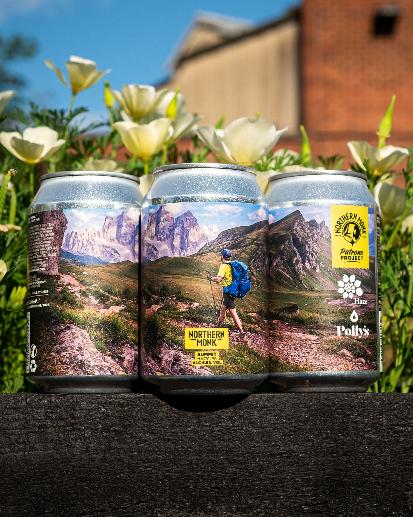 SUMMIT // HAZE OUTDOORS // POLLY'S // HAZY IPA // 6.5%