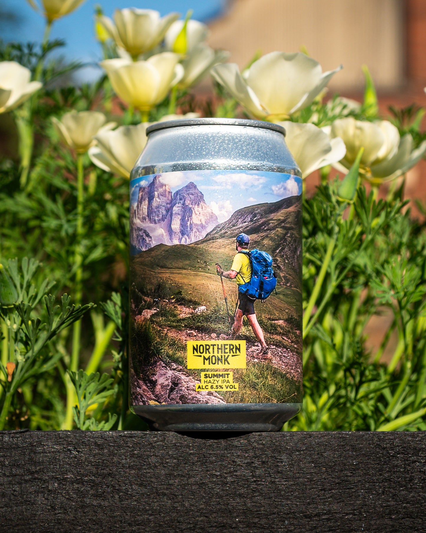 SUMMIT // HAZE OUTDOORS // POLLY'S // HAZY IPA // 6.5%